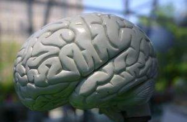 Studiu: Stresul duce la micsorarea creierului
