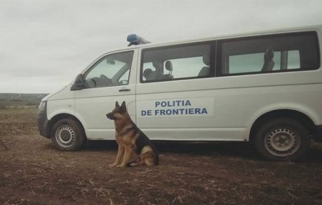 Politia de frontiera Mehedinti: Sase sirieni intentionau sa treaca ile
