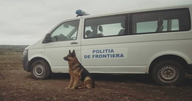 Politia de frontiera Mehedinti: Sase sirieni intentionau sa treaca ile