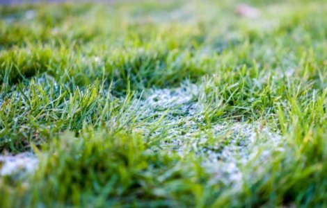 Rezerva de umiditate in cultura graului este deosebit de scazuta