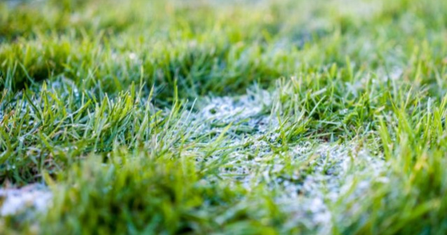 Rezerva de umiditate in cultura graului este deosebit de scazuta