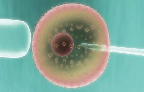 O clinica din Capitala, suspectata de trafic international de celule umane