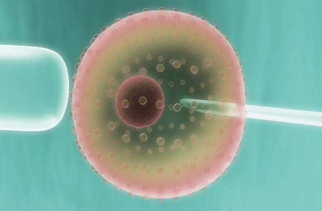 O clinica din Capitala, suspectata de trafic international de celule umane
