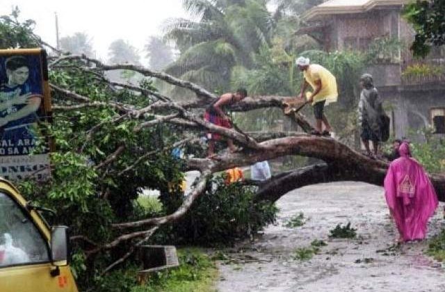 Bilantul taifunului Bopha in Filipine a ajuns la 238 de morti si sute de disparuti