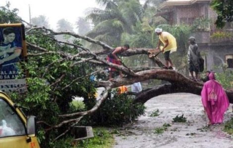 Bilantul taifunului Bopha in Filipine a ajuns la 238 de morti si sute de disparuti