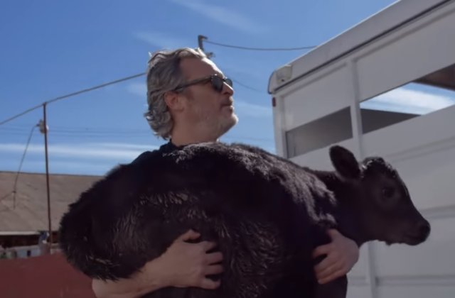 Actorul Joaquin Phoenix a salvat o vaca si un vitel de la un abator /VIDEO
