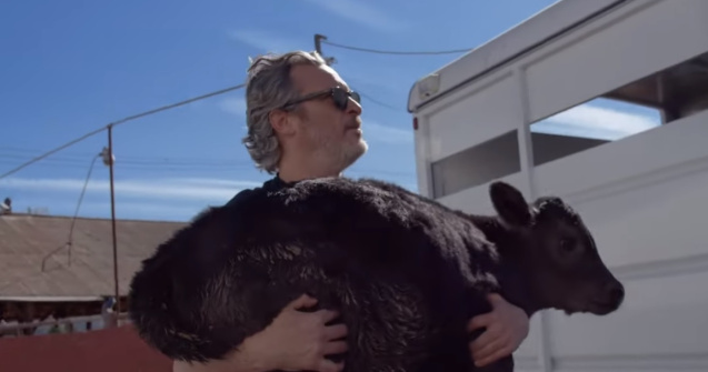 Actorul Joaquin Phoenix a salvat o vaca si un vitel de la un abator /V