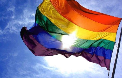 Copiii din Lituania nu mai au voie sa auda de homosexuali