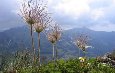 Parcul National Retezat a pierdut cursa minunilor lumii