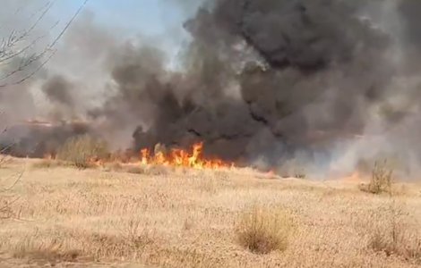 Incendiu in Delta Vacaresti - Ard aproximativ 30.000 de metri patrati