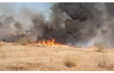 Delta Vacaresti a fost incendiata intentionat