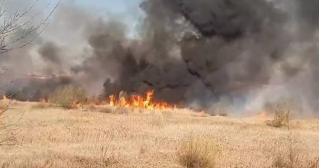 Delta Vacaresti a fost incendiata intentionat