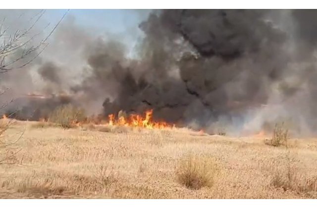 Delta Vacaresti a fost incendiata intentionat