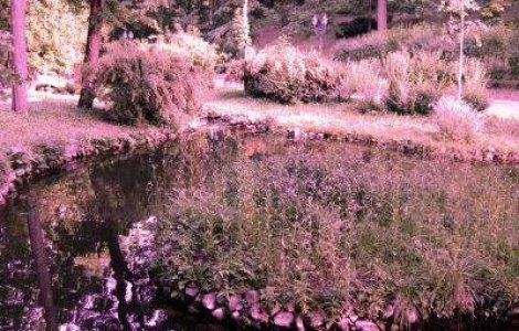 Boc il iarta pe Zeus din Cotroceni pentru irigarea gradinilor palatului