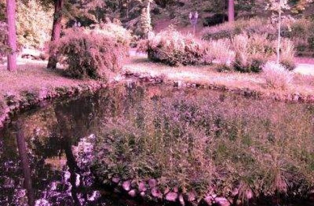 Boc il iarta pe Zeus din Cotroceni pentru irigarea gradinilor palatului