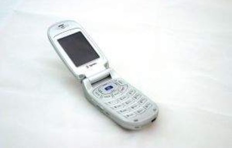 Mita electorala: Barbat din Targu Jiu, cercetat dupa ce si-a fotografiat votul cu telefonul mobil