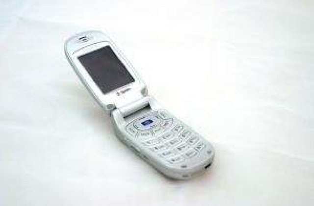 Mita electorala: Barbat din Targu Jiu, cercetat dupa ce si-a fotografiat votul cu telefonul mobil