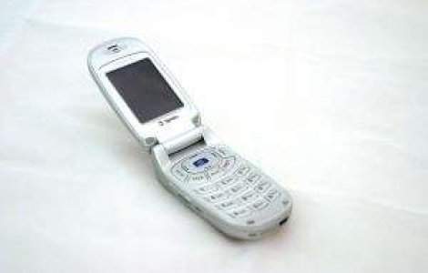 Mita electorala: Barbat din Targu Jiu, cercetat dupa ce si-a fotografiat votul cu telefonul mobil