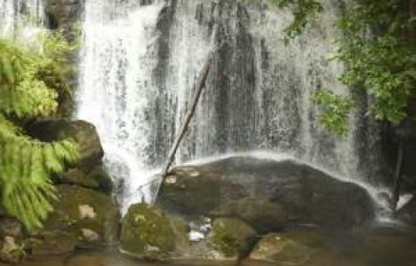 Guvernul vrea sa evalueze rezervele geologice de ape subterane din toata tara