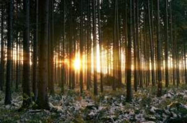 Vremea se va raci accentuat, apoi se va incalzi la jumatatea lunii