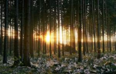 Vremea se va raci accentuat, apoi se va incalzi la jumatatea lunii