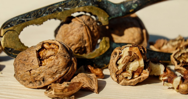  Top  Sunt sanatoase si satioase: 5 beneficii pe care le au nucile