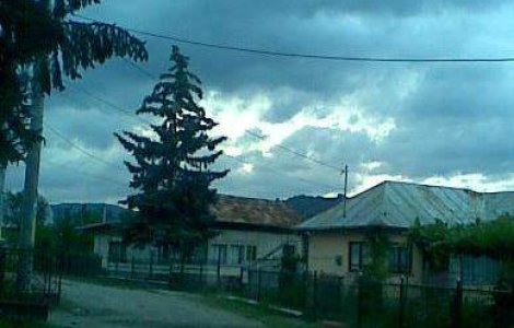 Aroganta unui primar din Romania: &#39;Daca nu iti convin drumurile, muta-te pe Riviera Franceza!&#39;