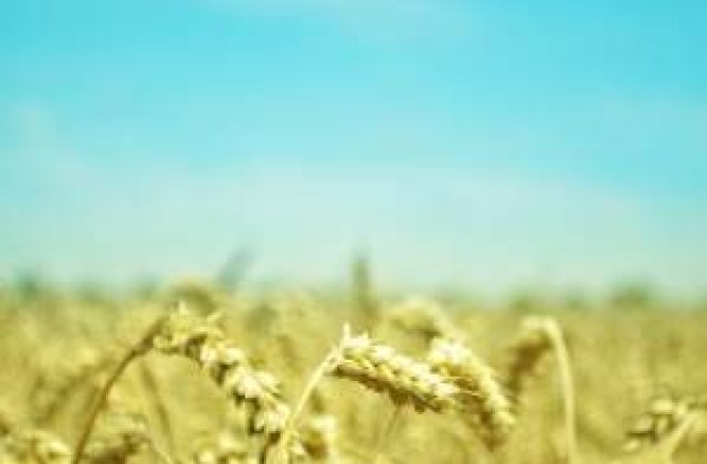 Cea mai mare parte a populatiei lumii va muri de foame. Cine zice asta?