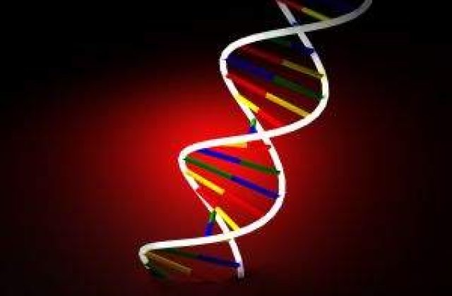 Homosexualitatea nu este genetica, dar se dezvolta in uter