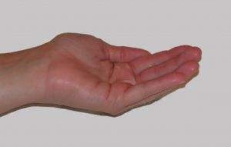 Inca un an de austeritate pentru bugetari