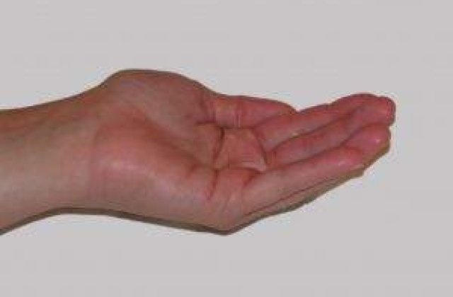 Inca un an de austeritate pentru bugetari