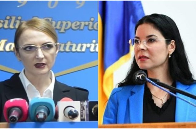 CCR desfiinteaza demersul Liei Savonea in conflictul cu Ana Birchall: "Nu are relevanta constitutionala"