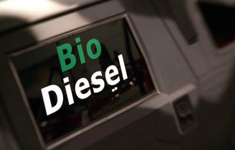 Japonia vinde biocombustibil din orez