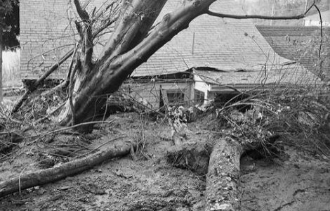 Bilantul taifunului Bopha depaseste 900 de morti in Filipine