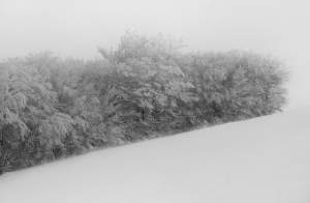 Zeci de oameni izolati din cauza nametilor