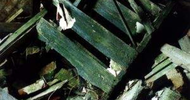 Cinci morti, in urma prabusirii unei cladiri in Rusia