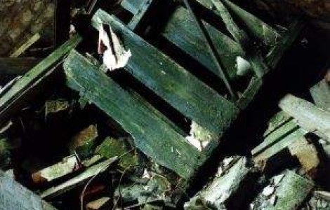 Cinci morti, in urma prabusirii unei cladiri in Rusia