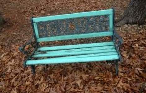 Clasa pregatitoare se muta in parc?