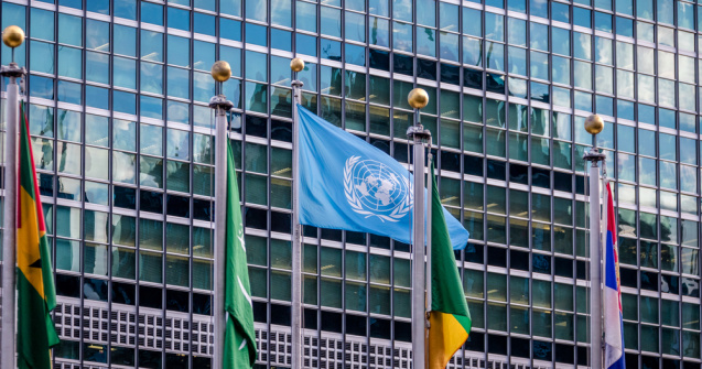 O angajata ONU a fost contaminata cu noul coronavirus