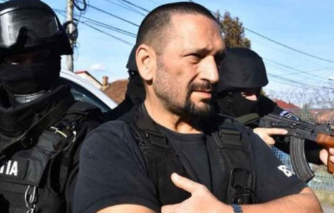 Berbeceanu matura pe jos cu Ciutacu: "interlopii iti lasa plata pe noptiera"