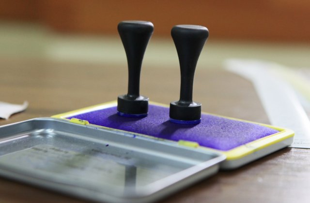 Cand ar putea sa aiba loc alegerile locale si alegerile anticipate