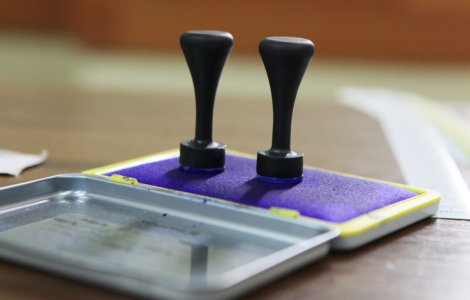 Cand ar putea sa aiba loc alegerile locale si alegerile anticipate