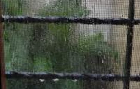 Cod galben de ploi, valabil de sambata seara pana luni dimineata