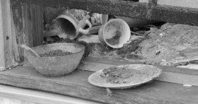 Bilantul taifunului Bopha depaseste 1.000 de morti in Filipine