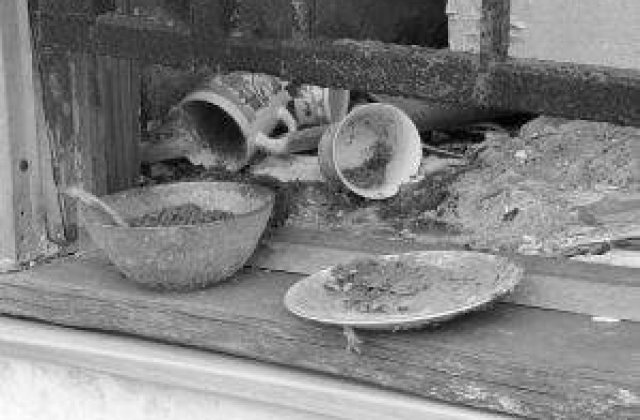 Bilantul taifunului Bopha depaseste 1.000 de morti in Filipine