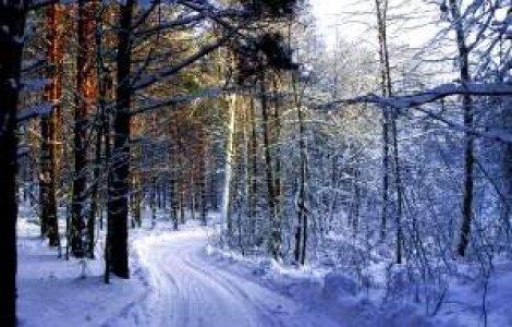 Treisprezece drumuri nationale sunt inchise din cauza zapezii