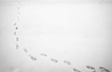 Cateva sute de scoli din cinci judete raman inchise