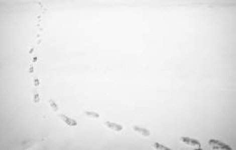 Cateva sute de scoli din cinci judete raman inchise