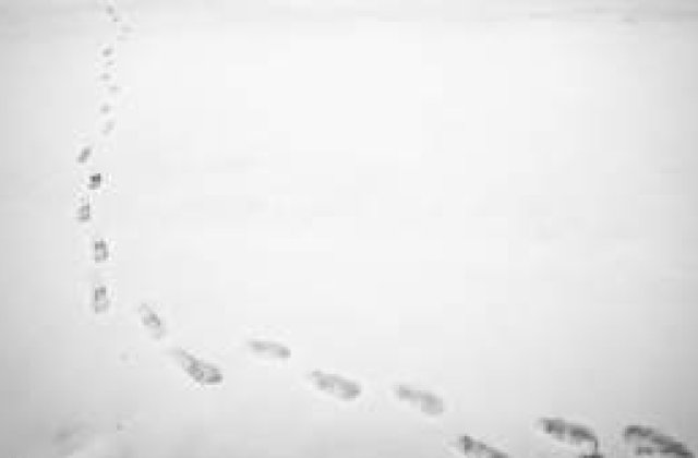 Cateva sute de scoli din cinci judete raman inchise