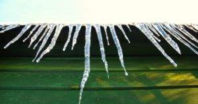 ATENTIE la turturi! Sotia lui Mircea Dinescu a ajuns in spital din cauza lor